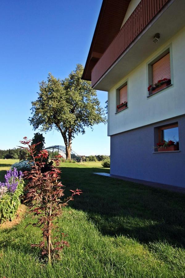 Hisa Na Vrtu Apartman Šenčur Kültér fotó